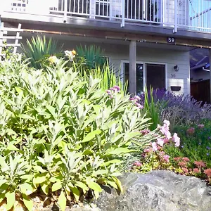 annarthur-guest-house.vancouver-hotels-bc.net/